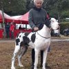CH EINA DE CAN DURAN
