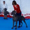 CH OPRAH DELLA ZAIDA NERA – Image 2