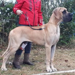 ROYAL SCOOBY-DOO du JARDIN de l’OLYMPE