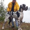 CH TANGO DE DOGALMAR