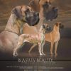 CH BLASIUS BEAUTY  ARMILLA – Image 3