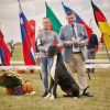 CH BRISEIS VON GREAT ELYSIUM – Image 3