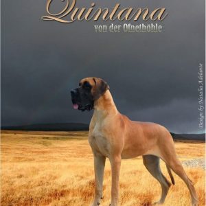 CH QUINTANA VON DER OFNETHÔHLE