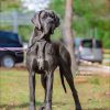 CH HER MAJESTY FROM VALVASOR'S LAND – Image 2