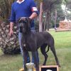 CH NEFERTARI MERIMUT