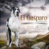 EL GASPARO VOM HAUSE BLACK DIAMOND – Image 3