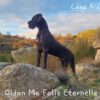 OLDAN MA FOLIE ETERNELLE – Image 3