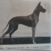 CH DELA VOM FREIGERICHT – Image 2