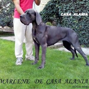 MARLENE DE CASA ALANIA