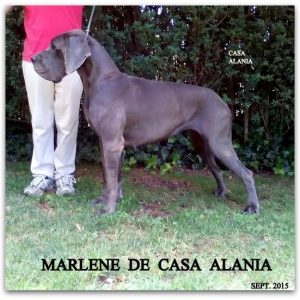 MARLENE DE CASA ALANIA