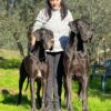THE  DARK SIDE DEL ANTICO TIFERNO – Image 2