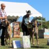 CH ROPER DES PLAINES DE RANGEVAL – Image 3
