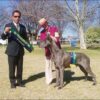 CH THUNDERFIRE LAW'N ORDER – Image 2