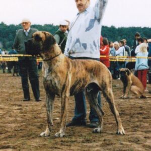 ILKO VON DER HÖNNEQUELLE