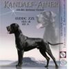 KANDALF-AINER VON DEN BORKENER TÜRMEN – Image 2