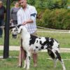 ROXY DES TERRES ANDALOUSES – Image 2