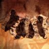 CHIOTS D'O DELA DES TERRES DE BECQUEREL – Image 3